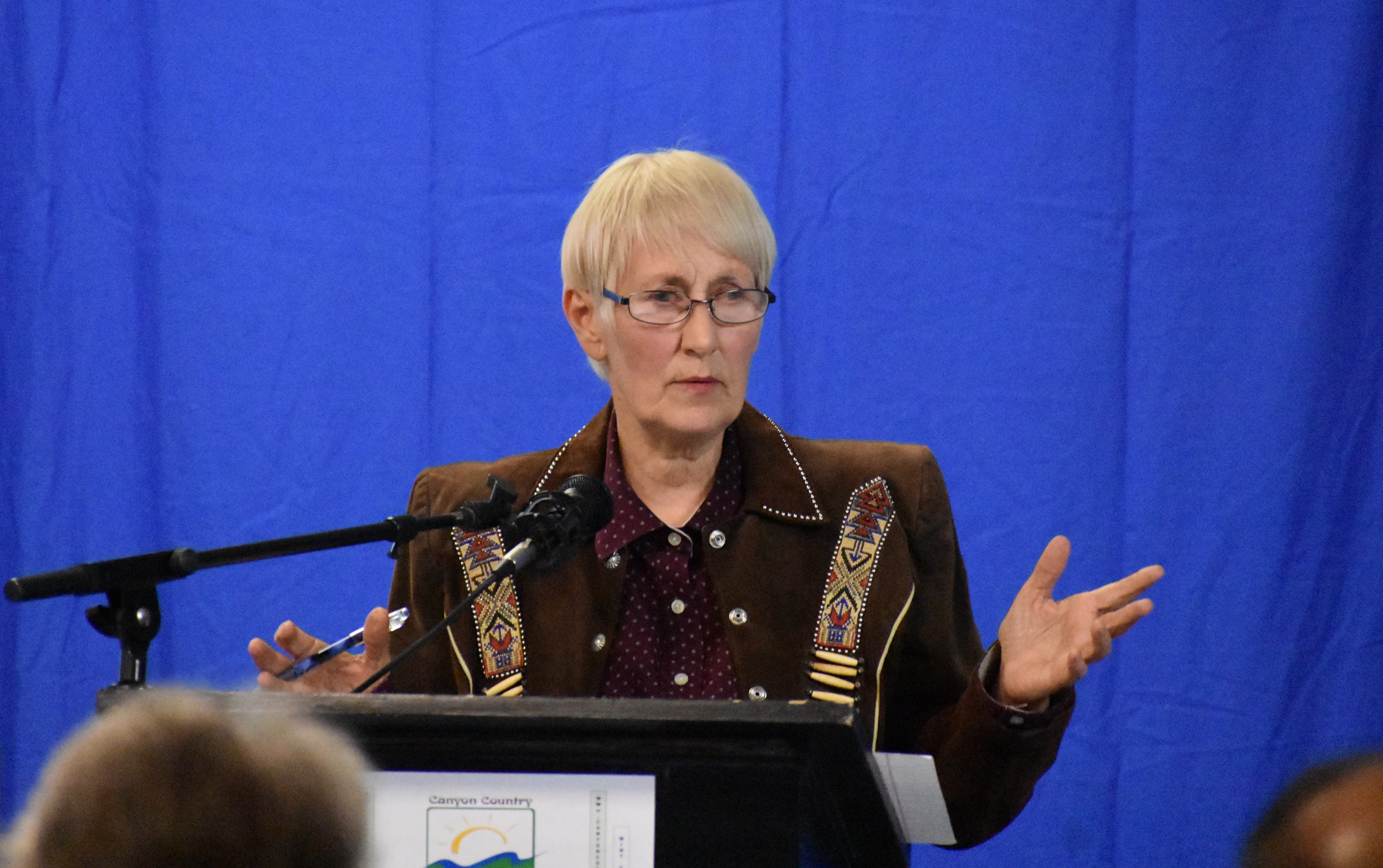 In their own words: City Council Priorities for 2019