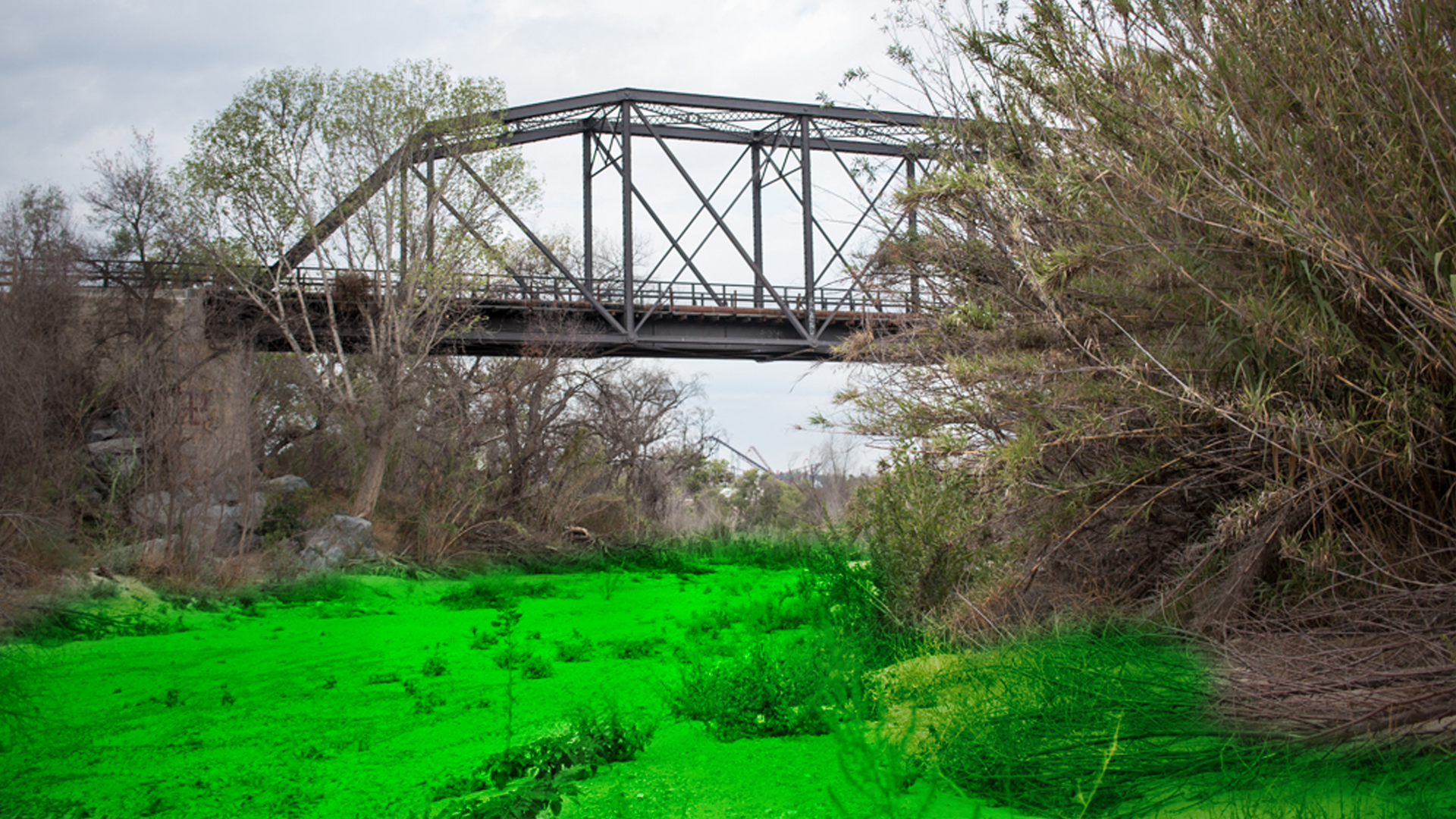 Celebrating St. Patrick’s Day, City Council Paints Santa Clara River Green