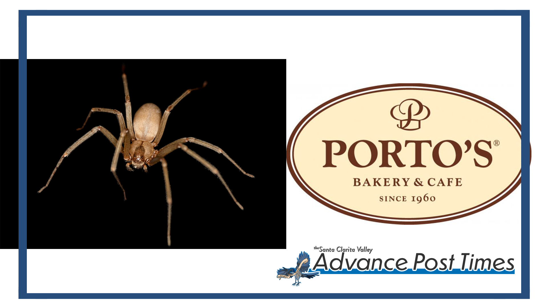 Frequently referenced Brown Recluse and Porto’s Jokes Found Dead in Apparent Murder-Suicide